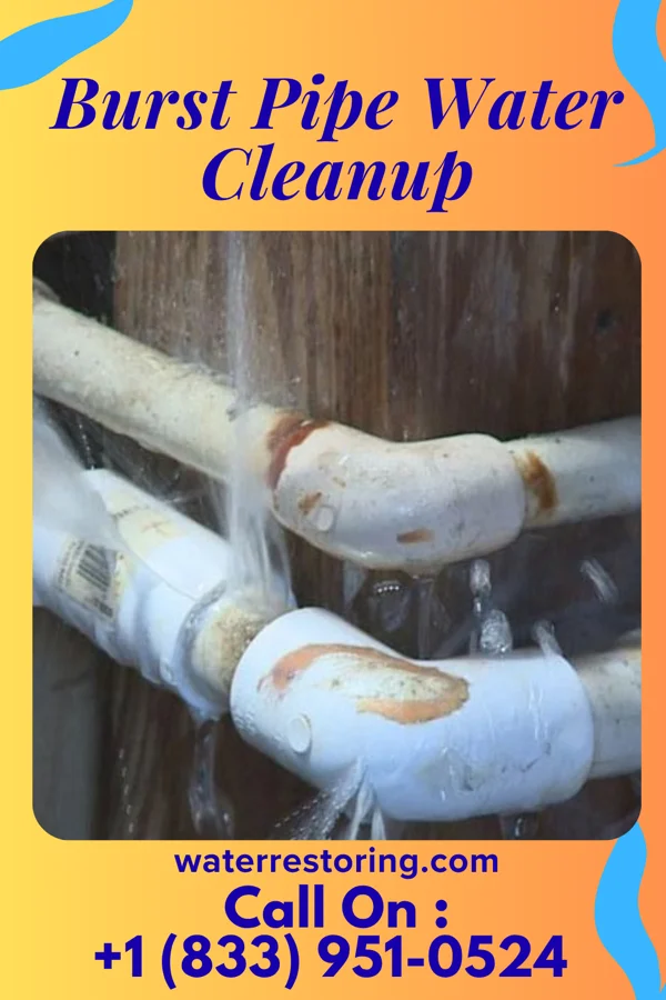 Burst Pipe Water Cleanup in Mount Sterling, IL