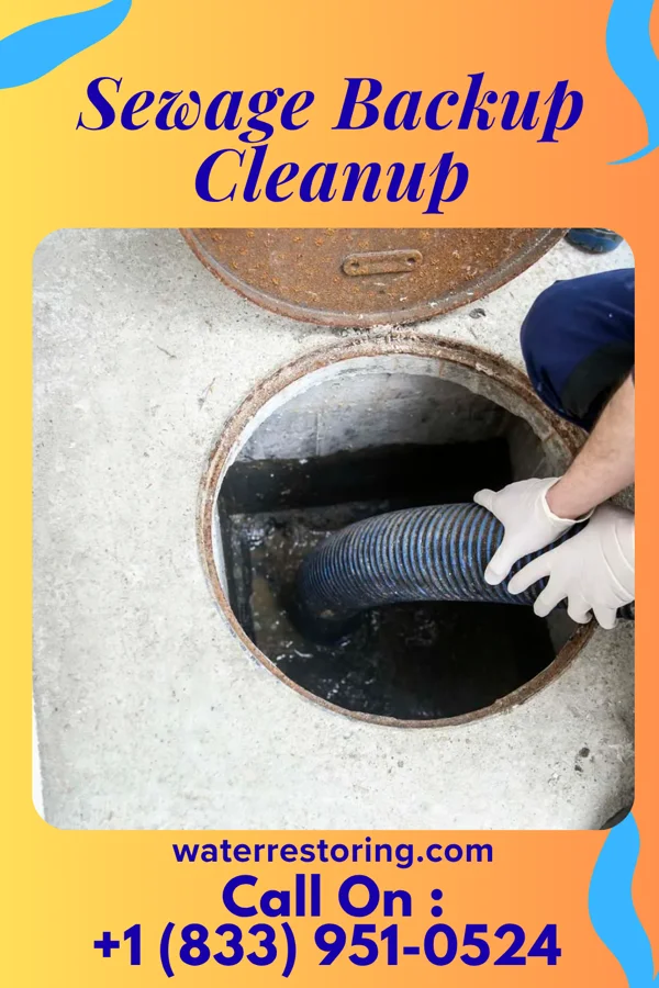 Sewage Backup Cleanup in Mount Sterling, IL