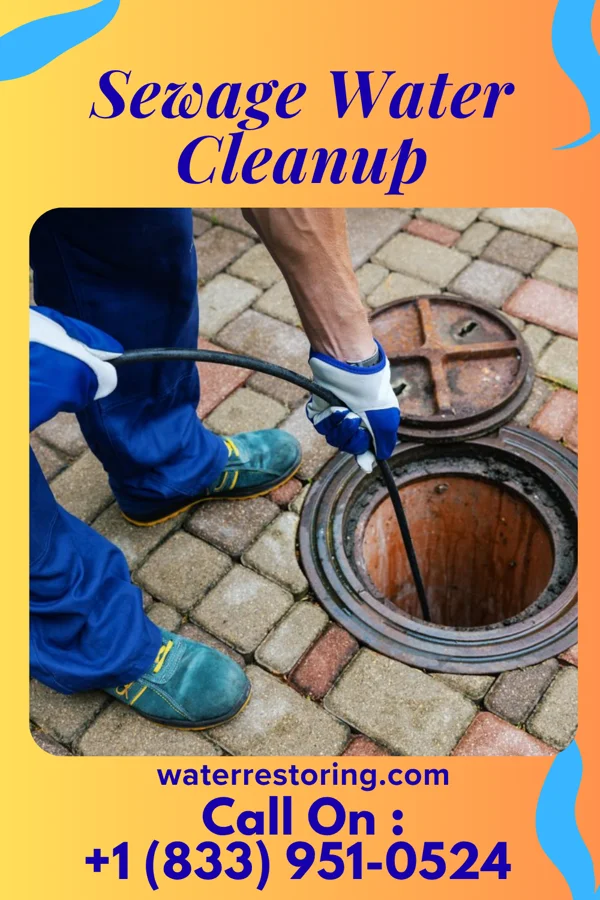 Sewage Water Cleanup in Mount Sterling, IL